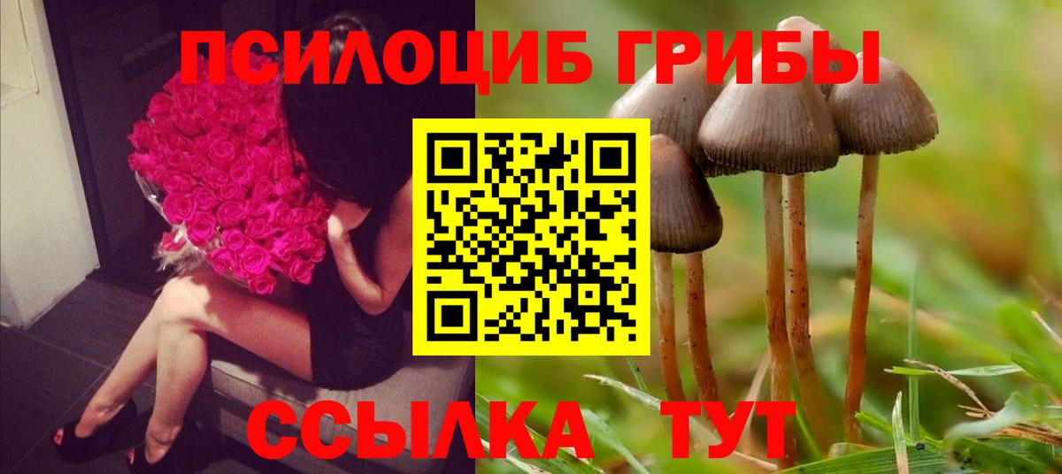 Галлюциногенные грибы мухоморы  Вход с VPN  Галлюциногенные грибы прущие грибы  Сибай 