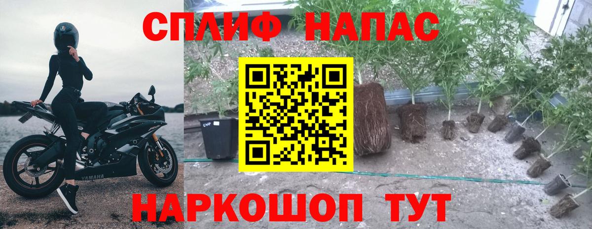 Марихуана Bruce Banner Сибай