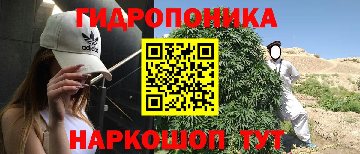 Сибай  МАРИХУАНА тримм  Вход с VPN  Конопля Bruce Banner  Бошки Шишки LSD WEED  Канабис LSD WEED 